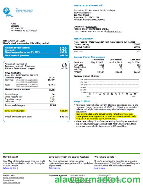 USA FPL utility bill template in Word and PDF formats, version 2